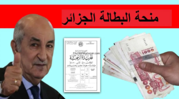 الفلوس وصلت والمساعدة بانتظارك.. منحة البطالة 2025 في الجزائر لدعم حياتك وقت الأزمات