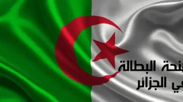 المنحة وصلت وفلوسها فورية.. منحة البطالة في الجزائر 2025 طوق نجاة للمحتاجين والعاطلين