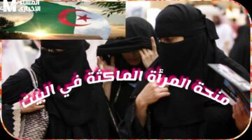 المنحة تشمل 8000 دج.. فرصة التسجيل في دعم المرأة الماكثة بالبيت