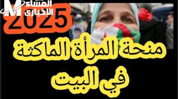 هتغطي كل نفقاتك.. منحة 2025 للمرأة الماكثة في البيت لدعم السيدات