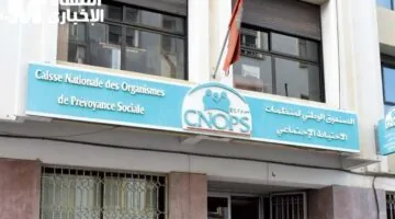 التسجيل متاح الآن على منصة كنوبس الجديدة 2025 بالمغرب مع خدمات التأمين الصحي الإلكتروني بشروط مبسطة