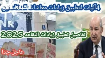 الزيادات تصل بترتيب جديد في 2025.. تعديل شامل لسلم معاشات الجزائر ودعم ملحوظ