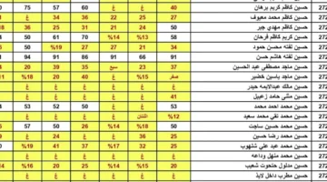 الطلاب يستقبلون النتيجة أونلاين.. رابط نتائج السادس الإعدادي الدور الثاني 2025 في العراق