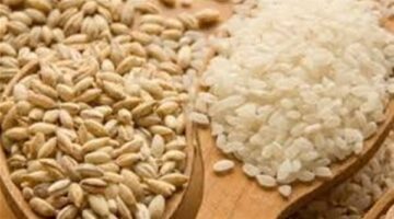 35 جنيهاً كحد أدنى مفتي الجمهورية يحدد قيمة زكاة الفطر