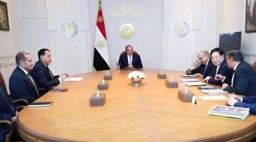 استثمارات مليارية جديدة الرئيس السيسي يبحث مع رئيس GCL الصينية