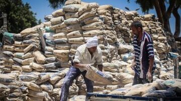 استقرار ملحوظ في الأسواق سعر الأسمنت اليوم الخميس يواصل الثبات