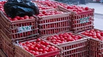الطماطم بـ 17 جنيهاً تحديث أسعار الخضراوات والفاكهة في أسواق