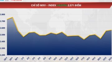 بنسبة 05 أسعار فول الصويا تسجل 4245 دولارًا للطن في