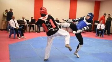 بين التاريخ والرياضة كيف أسست السلالة الحاكمة في كوريا القديمة