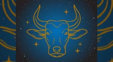 توقعات مهنية ماذا يحمل برج الثور من استقرار عاطفي وخطط