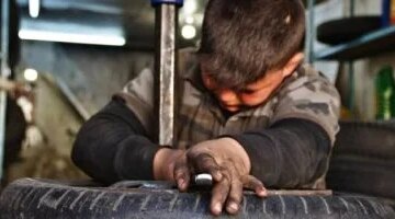 رسميًا في قانون العمل لجان عامة في أقسام الشرطة للتدخل