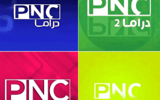 PNC فيلم، PNC دراما، PNC فوود وبرامج الطبخ