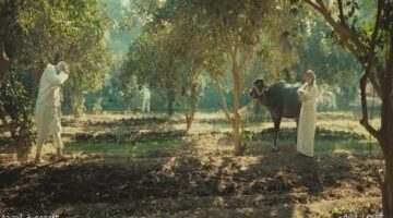 مسلسل النص التاني الحلقة 1 الجاموسة نوجا بتصرف على البيت